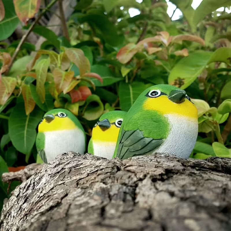 療癒圓滾滾系列-綠繡眼(Japanese white-eye)