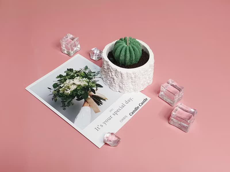 【手做蠟燭花禮3入組-渲染彩虹.多肉杯杯.浪漫花花】蠟燭材料包