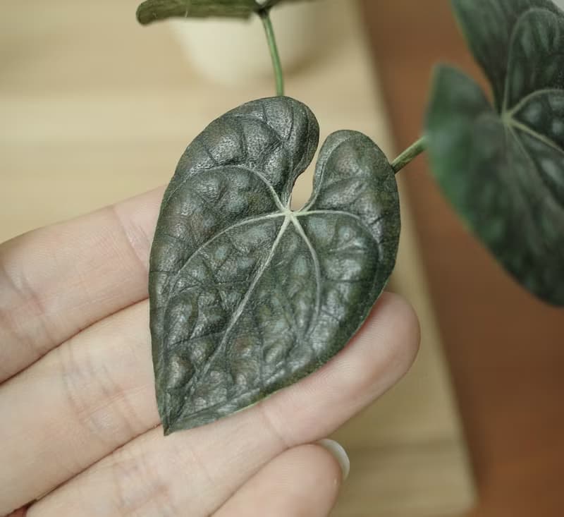 奢華火鶴盆栽 絕版作品 僅此一件