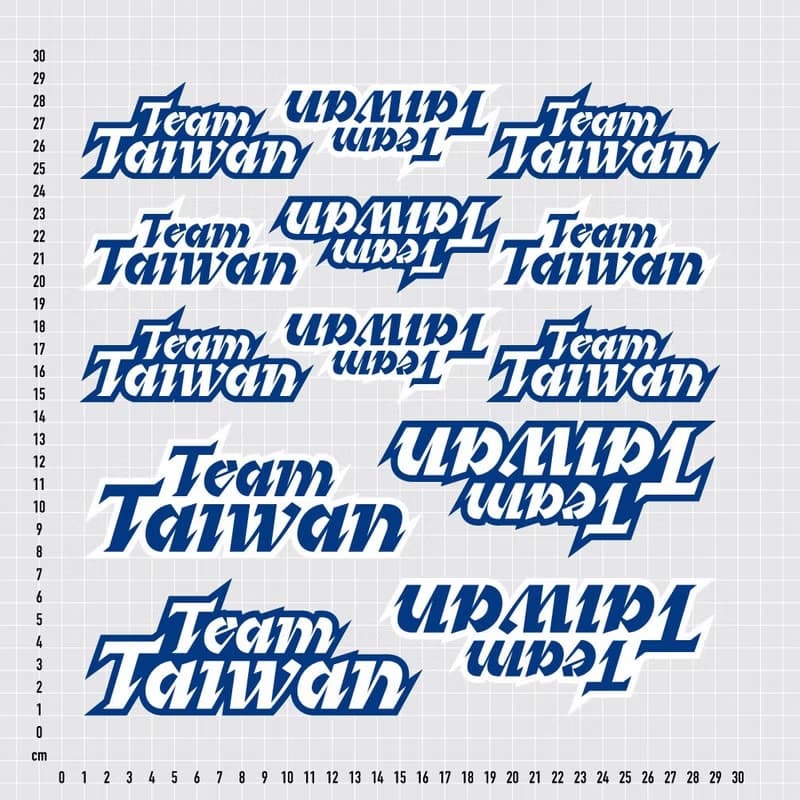 TEAM TAIWAN 防水貼紙組合 可貼筆電 行李箱 汽機車 294