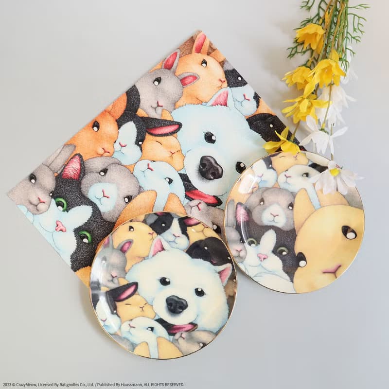 【小黑】6.5吋骨瓷盤/餐盤/禮盒