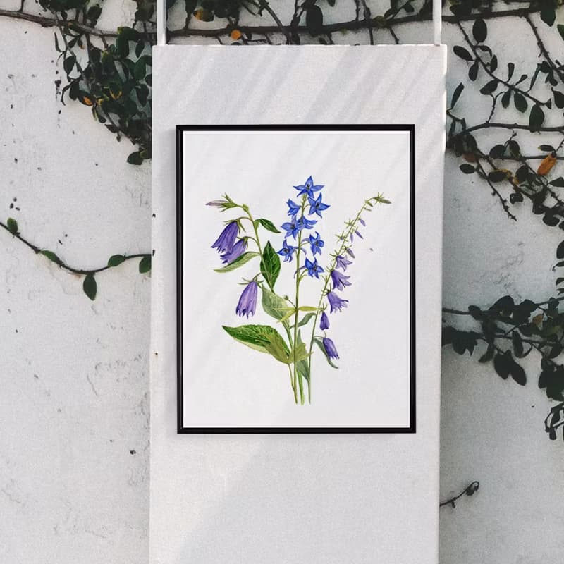 風鈴草花束－畫/花/咖啡廳佈置/家居佈置/洗手間裝飾/植栽植物