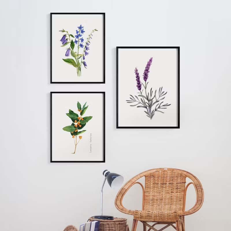 風鈴草花束－畫/花/咖啡廳佈置/家居佈置/洗手間裝飾/植栽植物