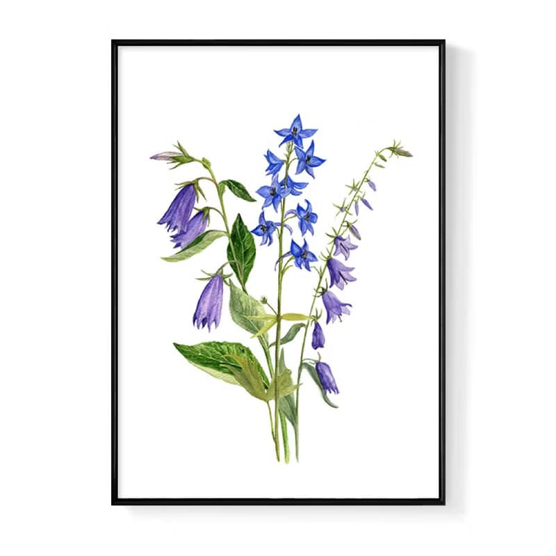 風鈴草花束－畫/花/咖啡廳佈置/家居佈置/洗手間裝飾/植栽植物