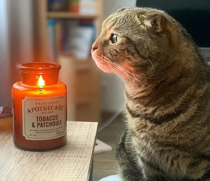 Paddywax Apothecary Amber & Smoke珀煙葉復古香氛蠟燭(8oz)
