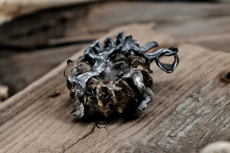 【山骸紀】遠古的見證—多維爾菊石項鍊