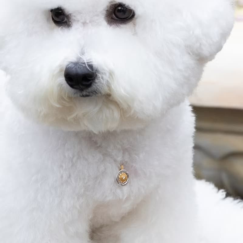 TIME SCREW COGWHEEL COIN PET NECKLACE