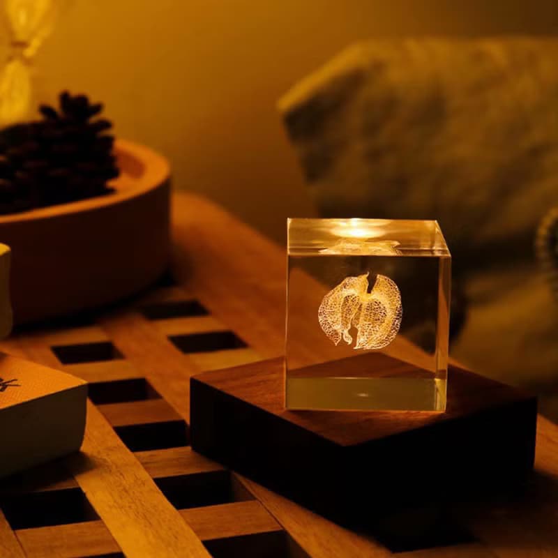 Sola cube 黑酸漿立方塊_心思細膩