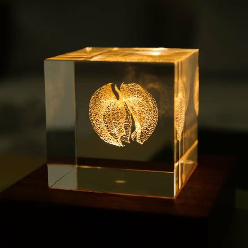 Sola cube 黑酸漿立方塊_心思細膩