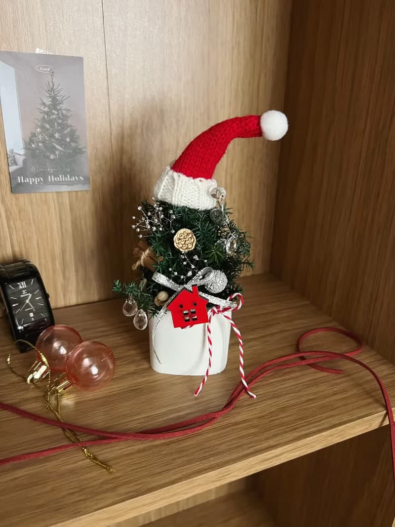 【聖誕禮盒】flower-of-life 擴香盆迷你聖誕樹 永生雪松 聖誕節