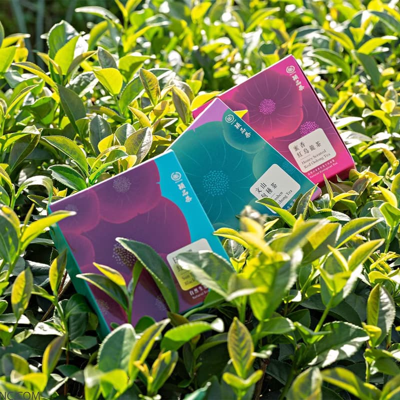 穎品小茶盒_日月潭紅茶