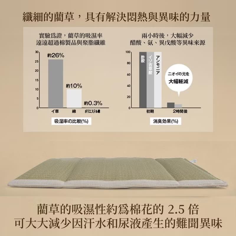 【樂齡生活】天然藺草背靠墊c.u.s.a 健康設計 透氣吸汗除臭