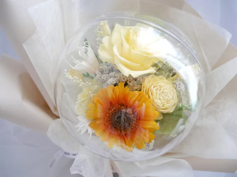 波波球永生非洲菊花束【新的開始】不凋花/畢業花束/生日