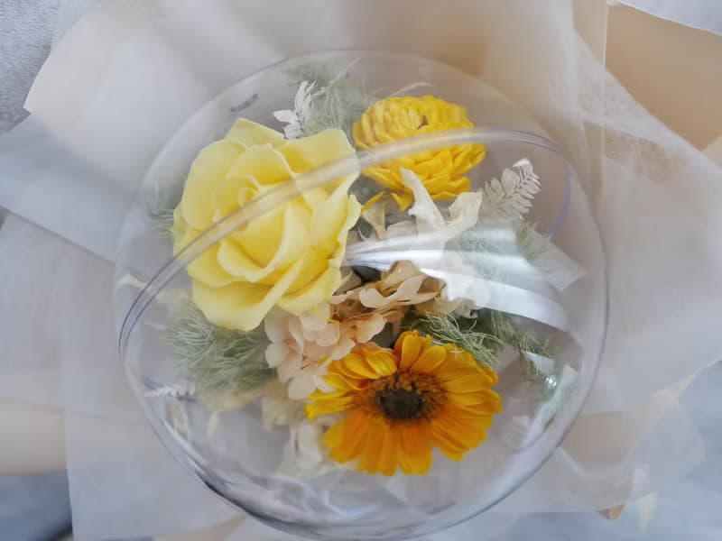 波波球永生非洲菊玫瑰花束【新的開始】不凋花/畢業花束/生日