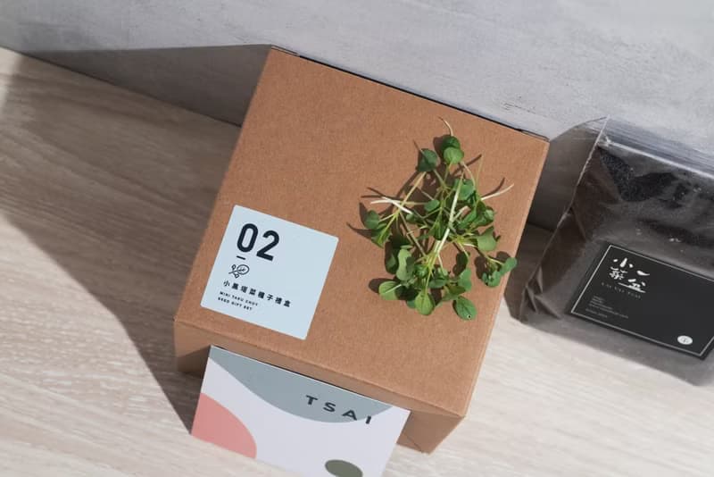 02小黑踏菜種子_入坑禮物盒