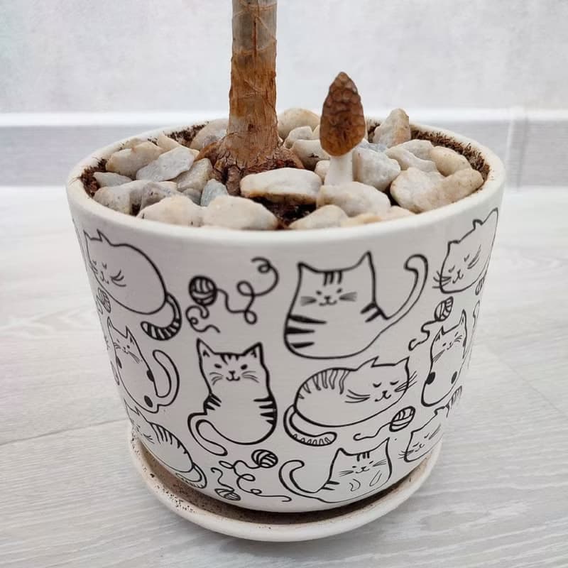 蘑菇玻璃容器套裝 10 件魔法快樂微型蘑菇有趣的植物樁