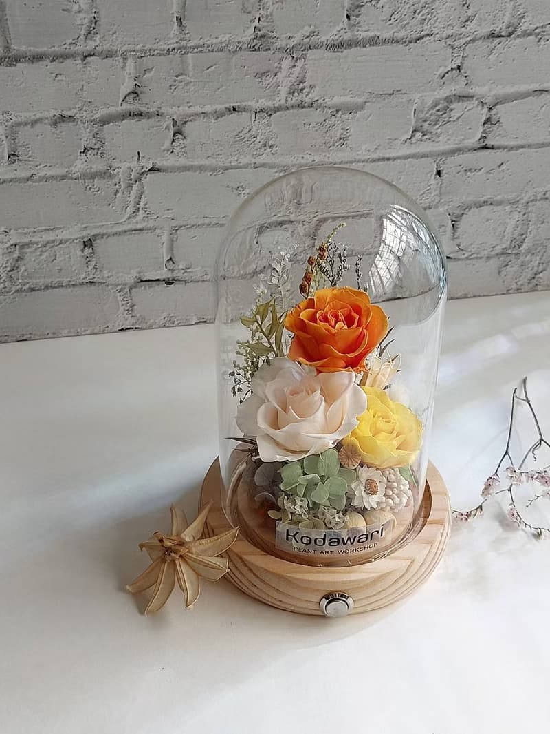 永生花玻璃罩.花盅小夜燈 祝賀花禮 生日.七夕情人節.畢業
