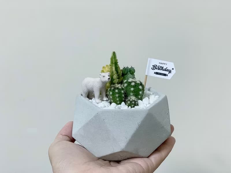 【24H寄出.超夯招財擺飾】繽紛鑽石水泥盆栽-組盆