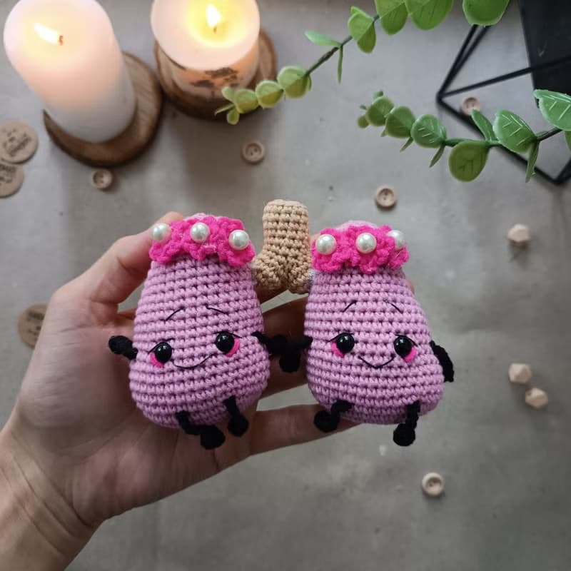 【數位】Crochet pattern lungs, amigurumi lungs, anatomical lungs crochet pattern
