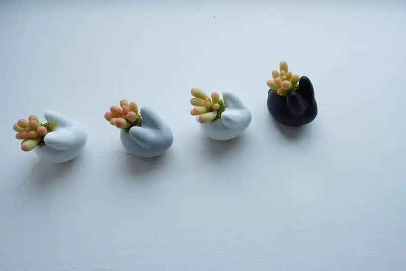 【體驗】【台南安平】間諜多肉植物兔兔盆【樹脂黏土手作體驗】