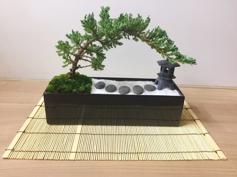 純自然 日式禪庭盆栽 原版竹簾石燈缺貨 枯山水 開幕贈禮 zen