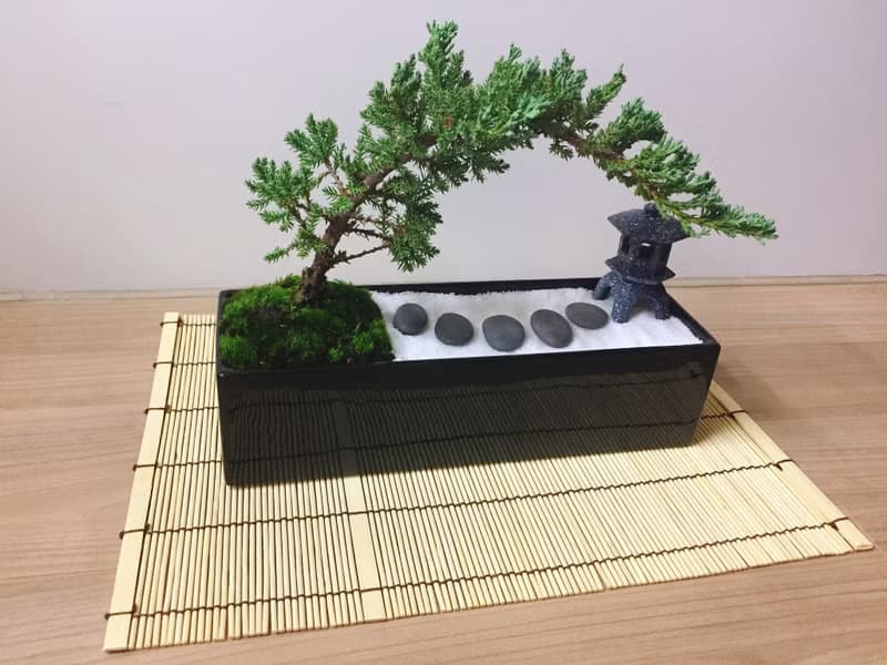 純自然 日式禪庭盆栽 原版竹簾石燈缺貨 枯山水 開幕贈禮 zen