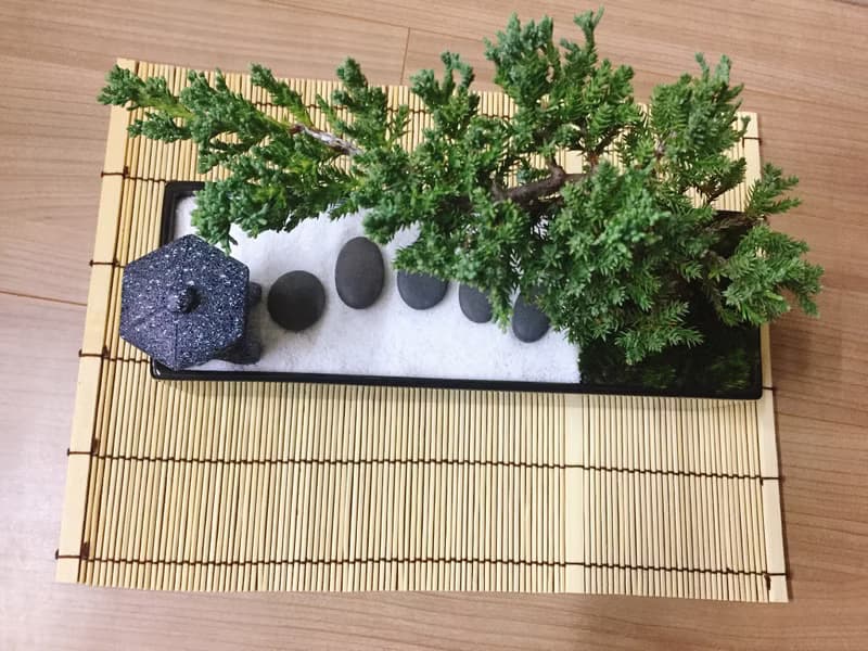 純自然 日式禪庭盆栽 原版竹簾石燈缺貨 枯山水 開幕贈禮 zen