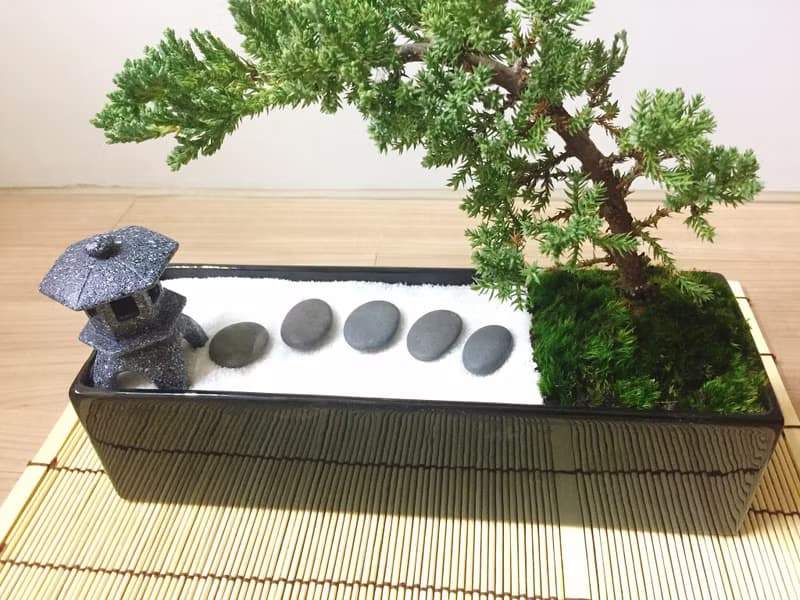 純自然 日式禪庭盆栽 原版竹簾石燈缺貨 枯山水 開幕贈禮 zen