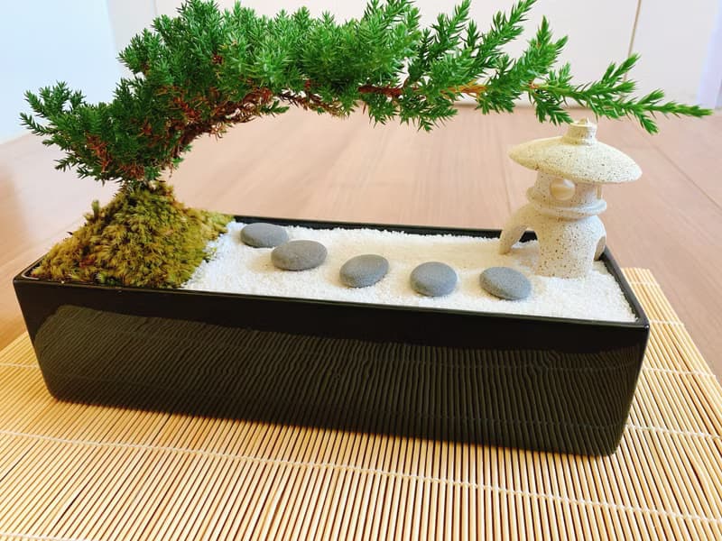 純自然 日式禪庭盆栽 原版竹簾石燈缺貨 枯山水 開幕贈禮 zen
