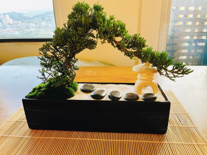 純自然 日式禪庭盆栽 原版竹簾石燈缺貨 枯山水 開幕贈禮 zen