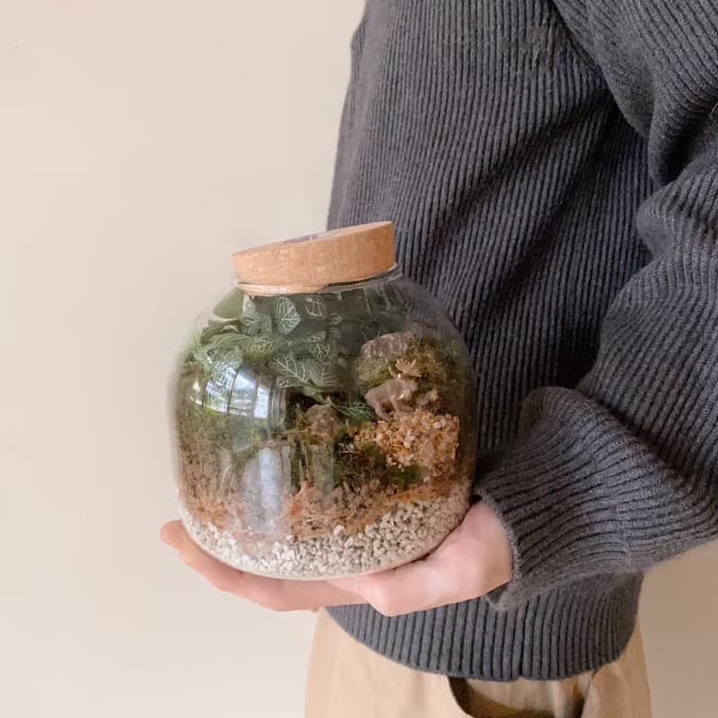 苔蘚生態瓶植栽