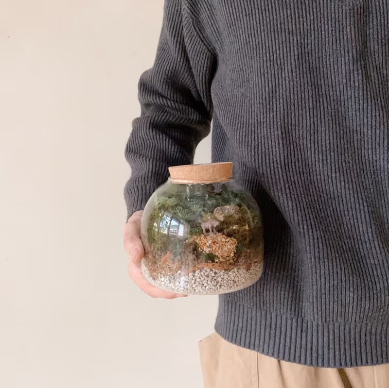 苔蘚生態瓶植栽