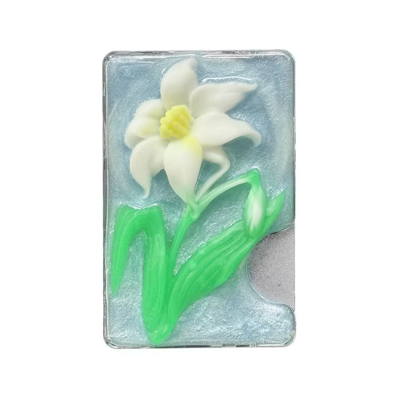 rily magsafe cardcase