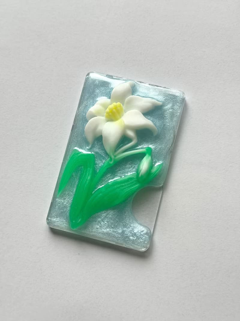 rily magsafe cardcase