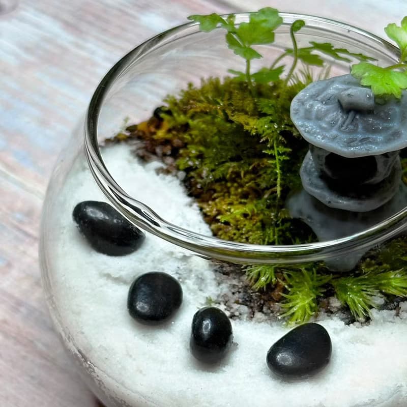 禪石小徑 / 超迷你掌上型手工微景觀生態盆