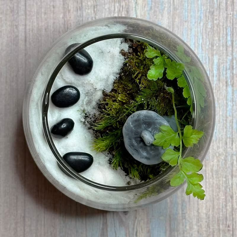 禪石小徑 / 超迷你掌上型手工微景觀生態盆