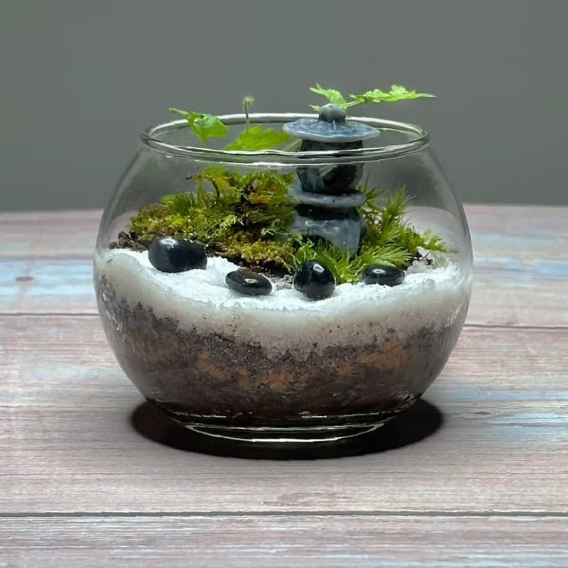 禪石小徑 / 超迷你掌上型手工微景觀生態盆