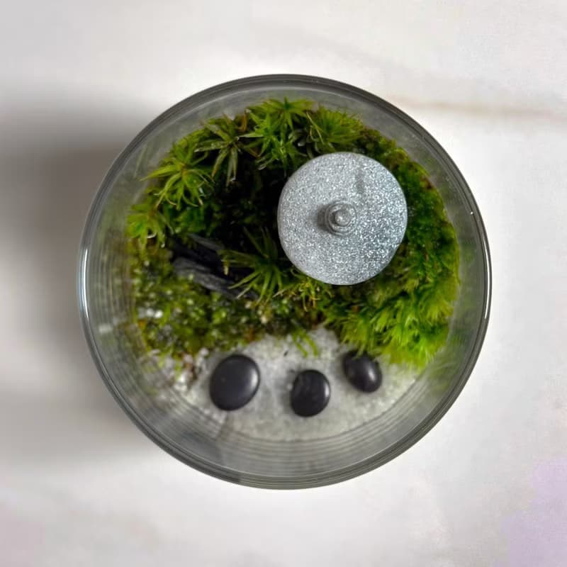 禪石小徑 / 超迷你掌上型手工微景觀生態盆