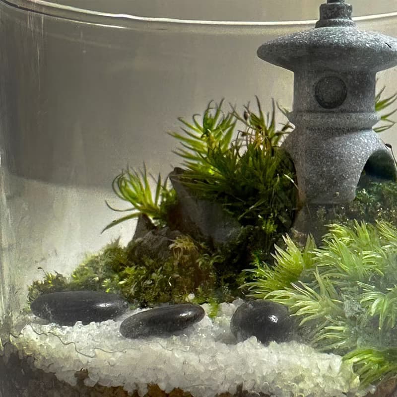 禪石小徑 / 超迷你掌上型手工微景觀生態盆