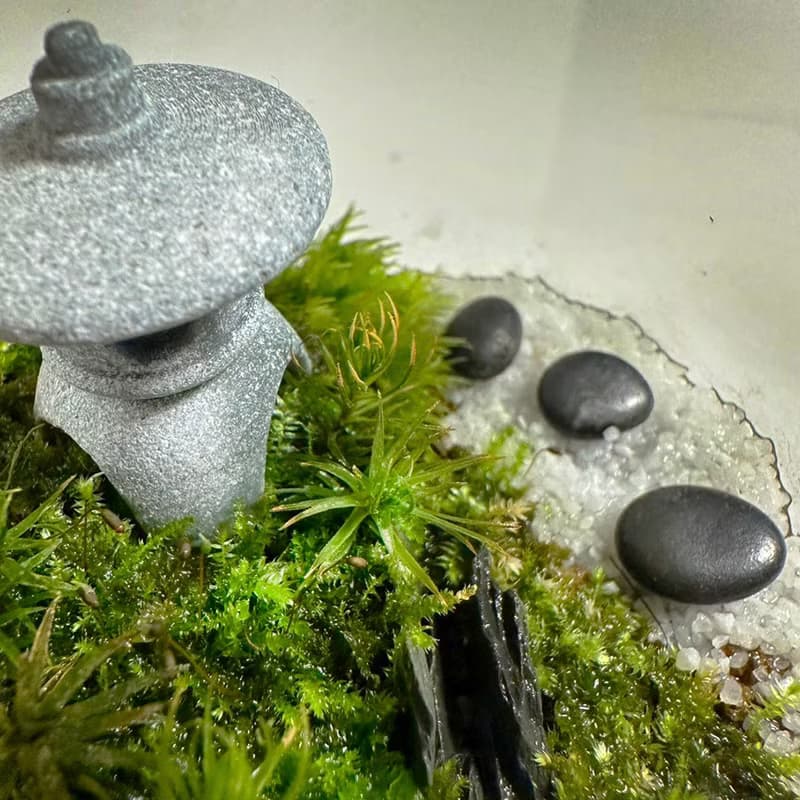 禪石小徑 / 超迷你掌上型手工微景觀生態盆