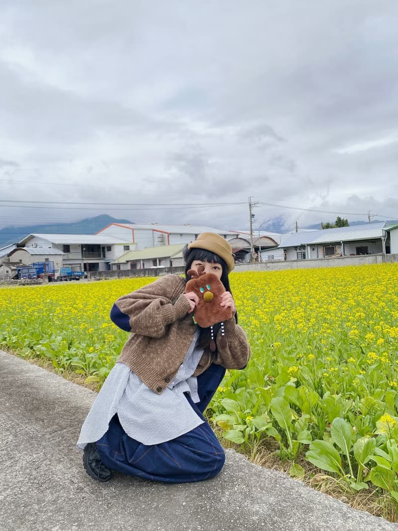 E*group 羅比 咖啡巧克力色   iphone皆可裝  手機袋