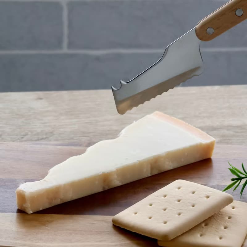 日本【 SALUS佐藤金屬】BONNE系列-起司刀