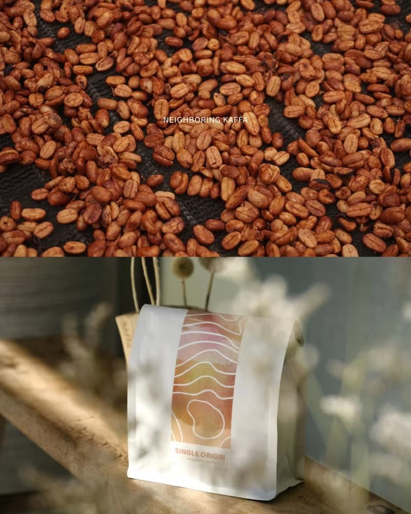 【 新豆上架 】半磅咖啡豆免運+最高8折 | 單品 配方豆 手沖 義式