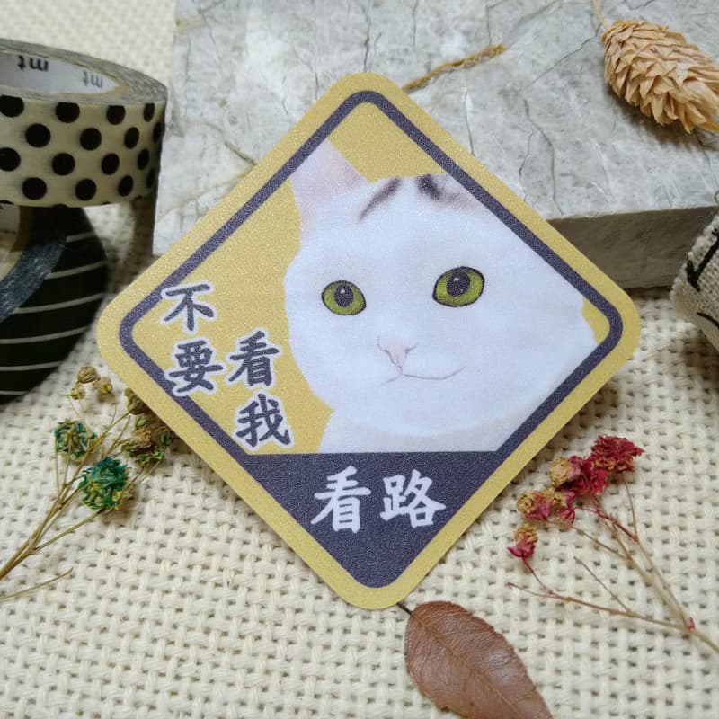 白貓-防水車貼-不要看我看路-貓奴認證-貓咪_貓咪_防水貼紙