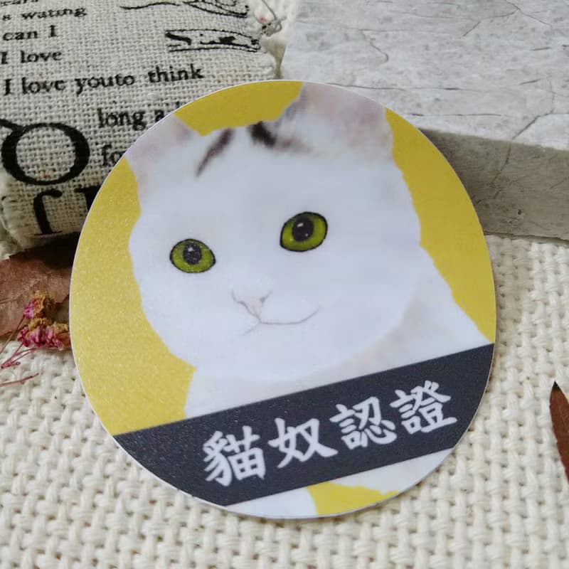 白貓-防水車貼-不要看我看路-貓奴認證-貓咪_貓咪_防水貼紙