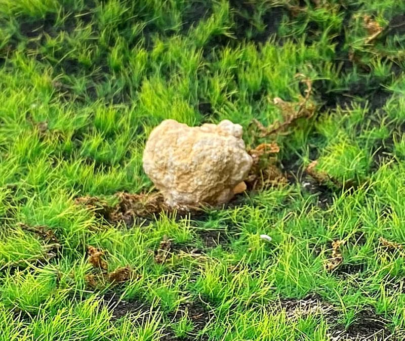 能量擺飾-天然招財瑪瑙小白晶洞 療癒 開運 淨化 原礦 快速出貨