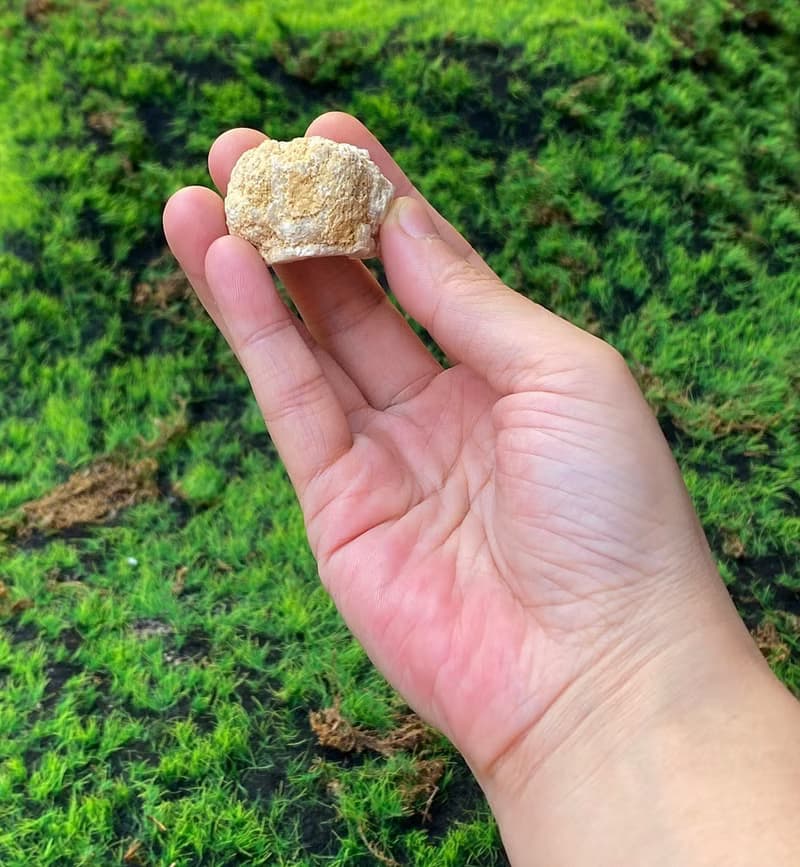 能量擺飾-天然招財瑪瑙小白晶洞 療癒 開運 淨化 原礦 快速出貨