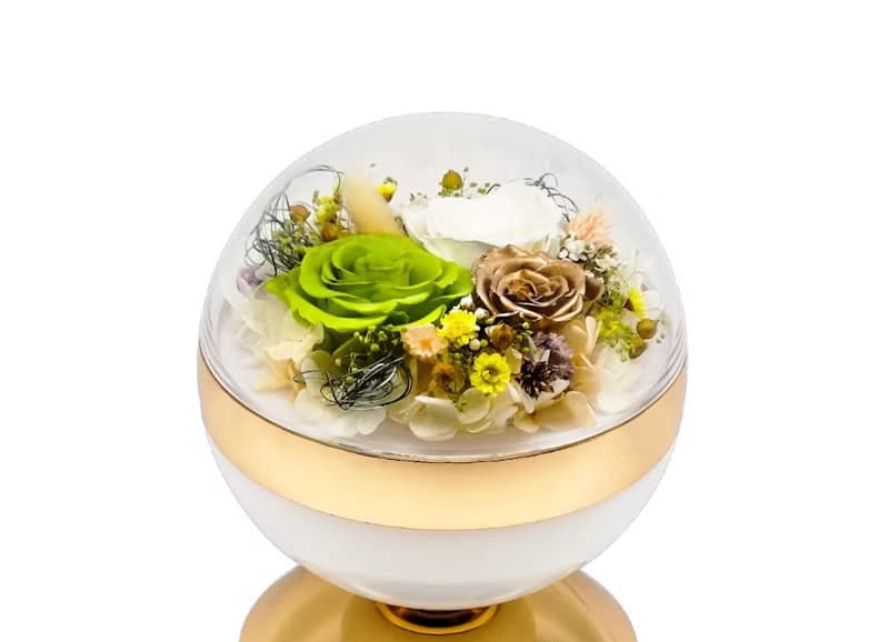 花樣時光圓舞燈 - 翡翠綠