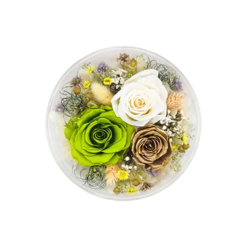 花樣時光圓舞燈 - 翡翠綠