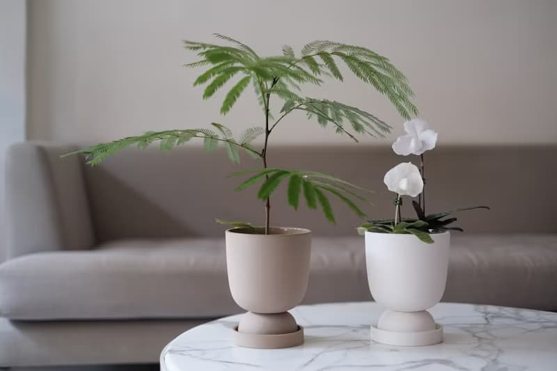 DR種夏盆-陶瓷盆器-白色